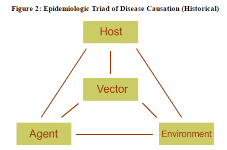 epidemiologictriad
